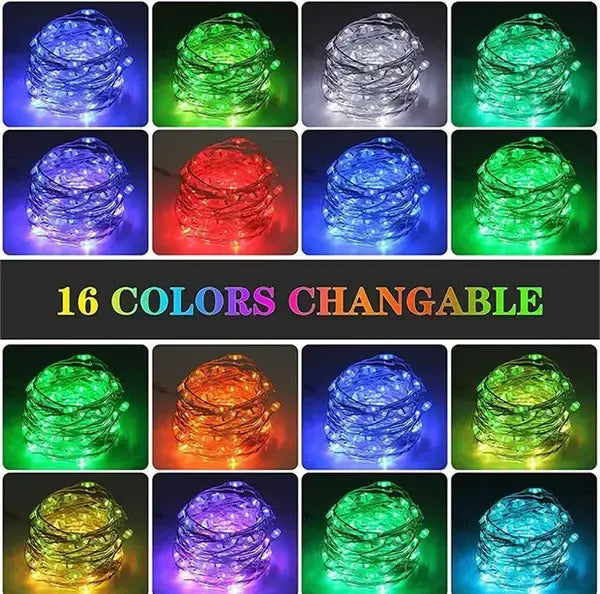 Classic car,personalized metal sign on stakes