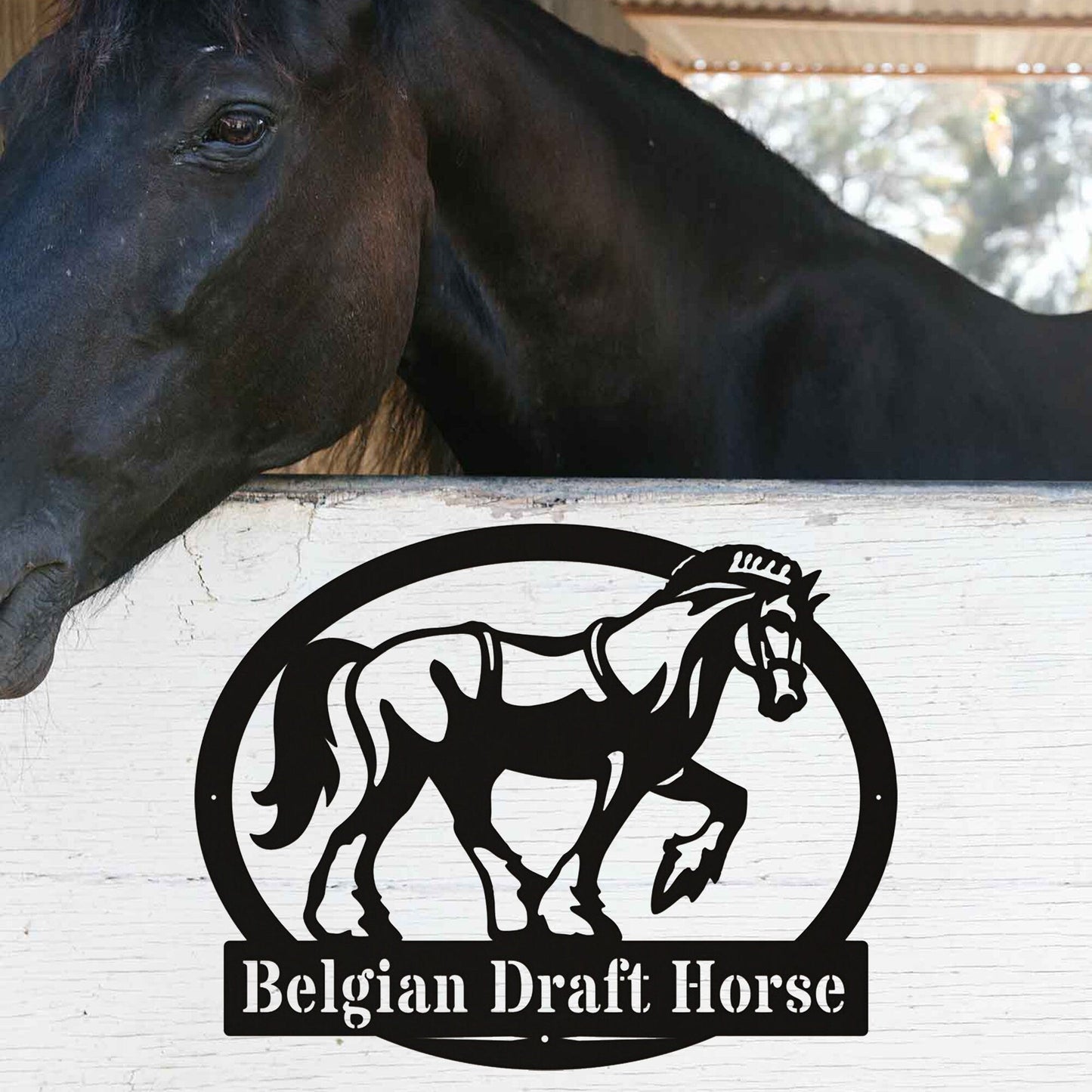 Custom Metal Horse Sign, Custom Farmhouse Sign, Horse Metal Wall Decor, Horse Owner Gift, Horse Metal Wall Decor